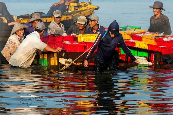 Làng cá Long Hải