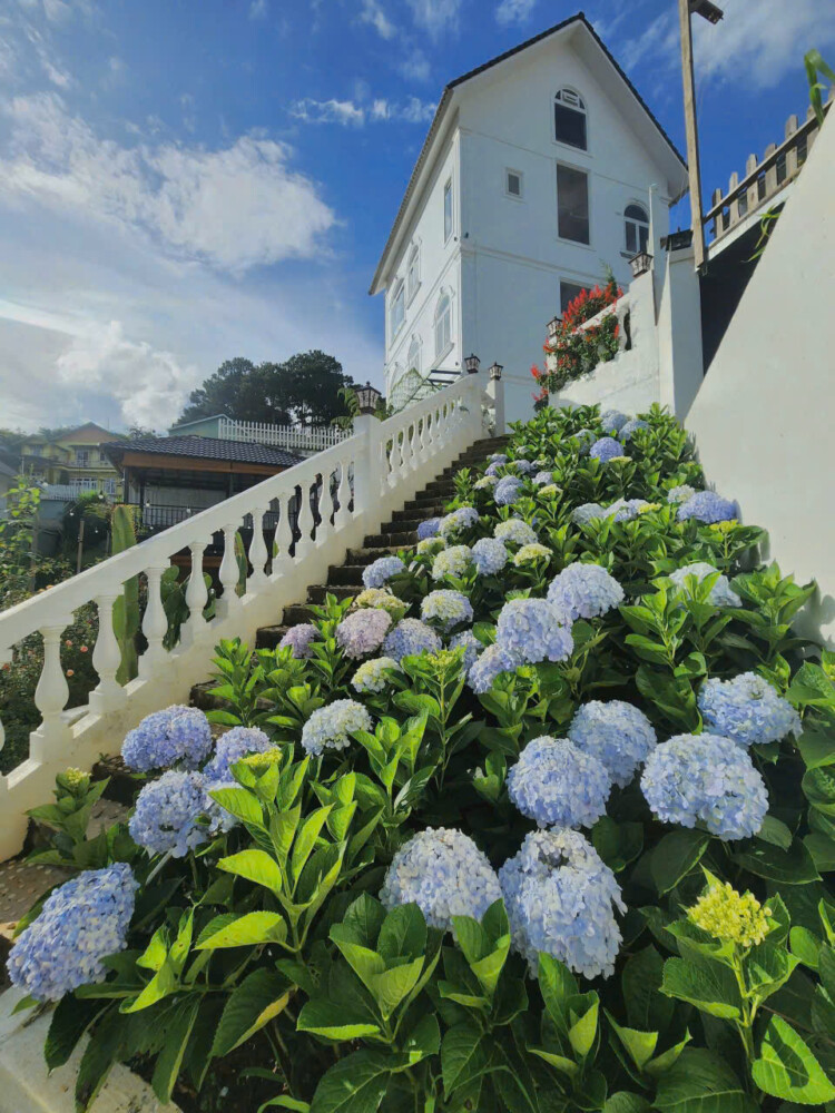 mặt tiền villa Odwin DL54