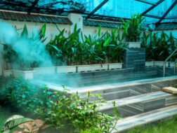 Villa Sài Gòn giá rẻ nguyên căn có hồ bơi riêng, đẹp tiện nghi