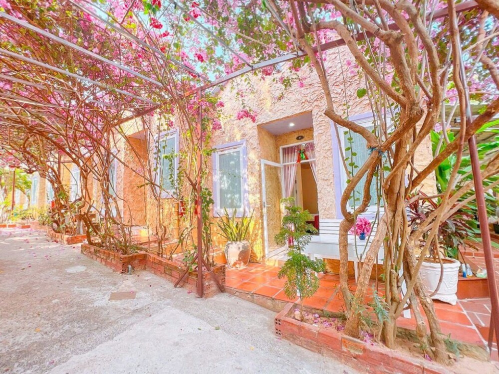 Homestay Mũi Né Odwinpt07 - Khu vực sân vườn