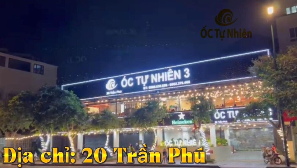 Top 9 địa điểm ăn uống Vũng Tàu - Ốc tự nhiên 3