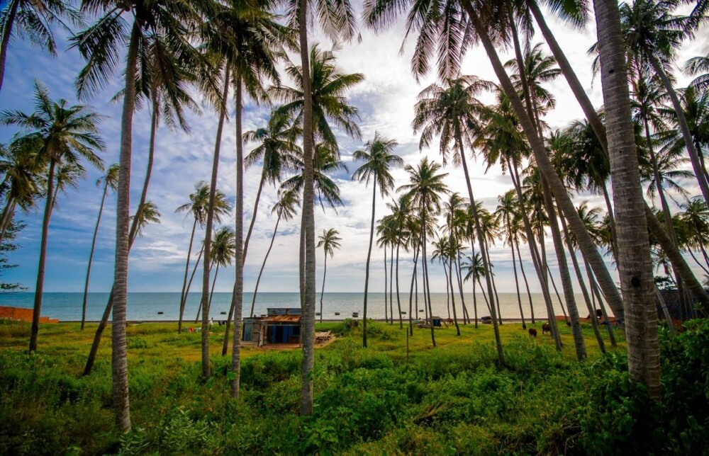Top 9 địa điểm du lịch Mũi Né - Bãi Rạng
