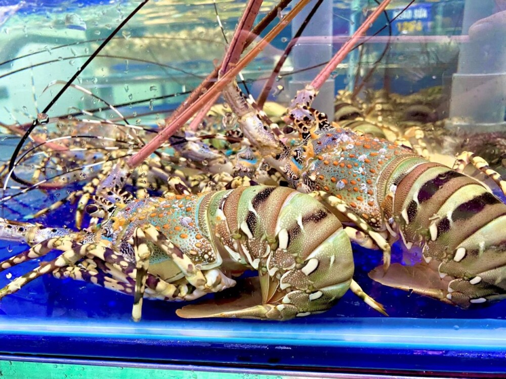 Hải sản tại chợ xóm lưới