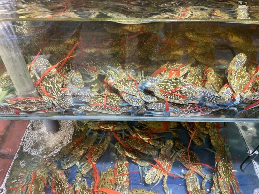 Ở villa Vũng Tàu buổi tối nên đi đâu - Chợ Xóm Lưới