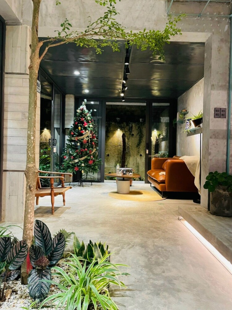 市中心附近大叻别墅 – Odwin29 别墅客厅