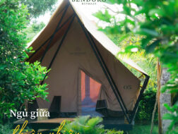 camping gần Sài Gòn cuối tuần tại Sendoro Retreat