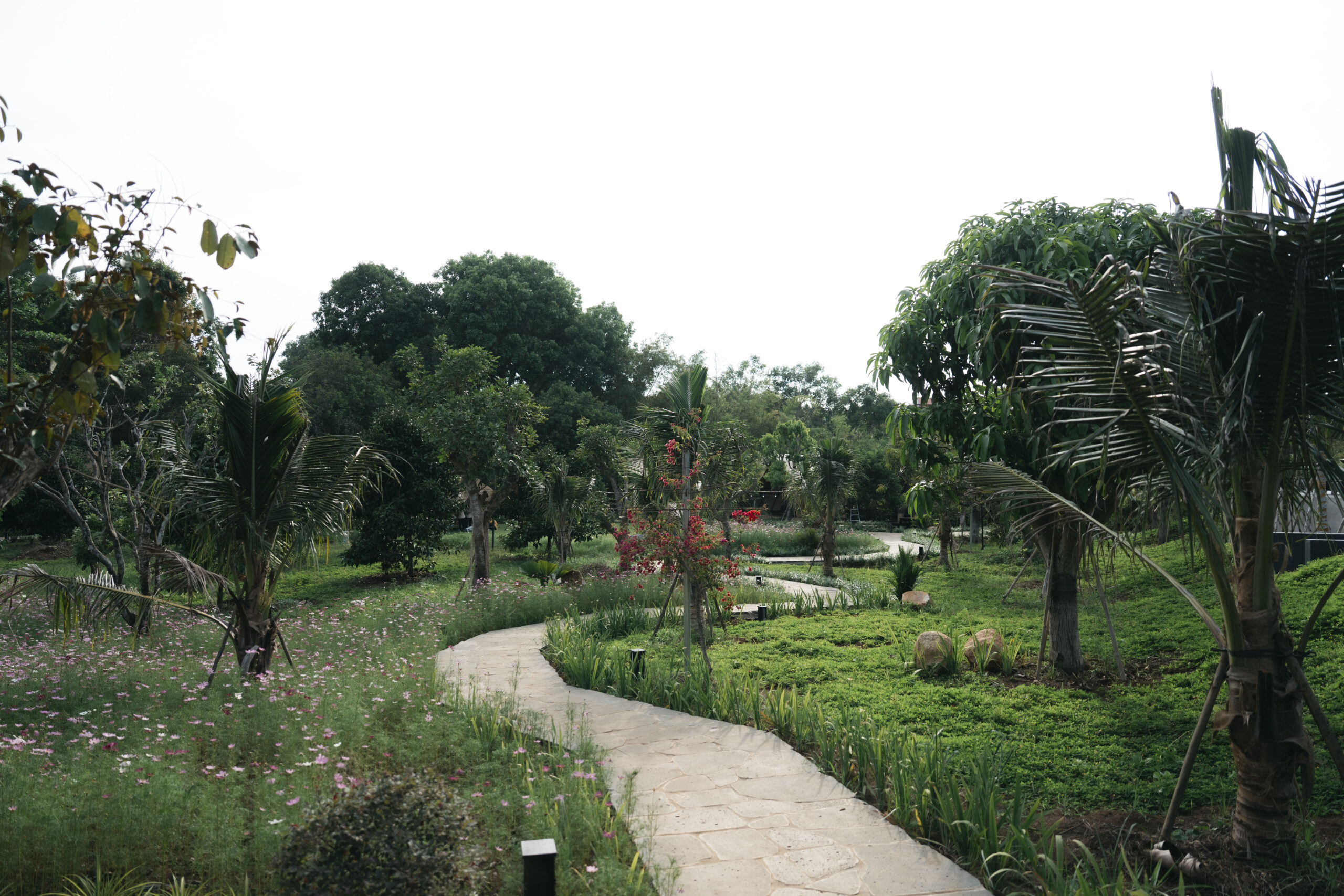 đạp xe trong khuôn viên tại Sendoro Retreat Châu Đức