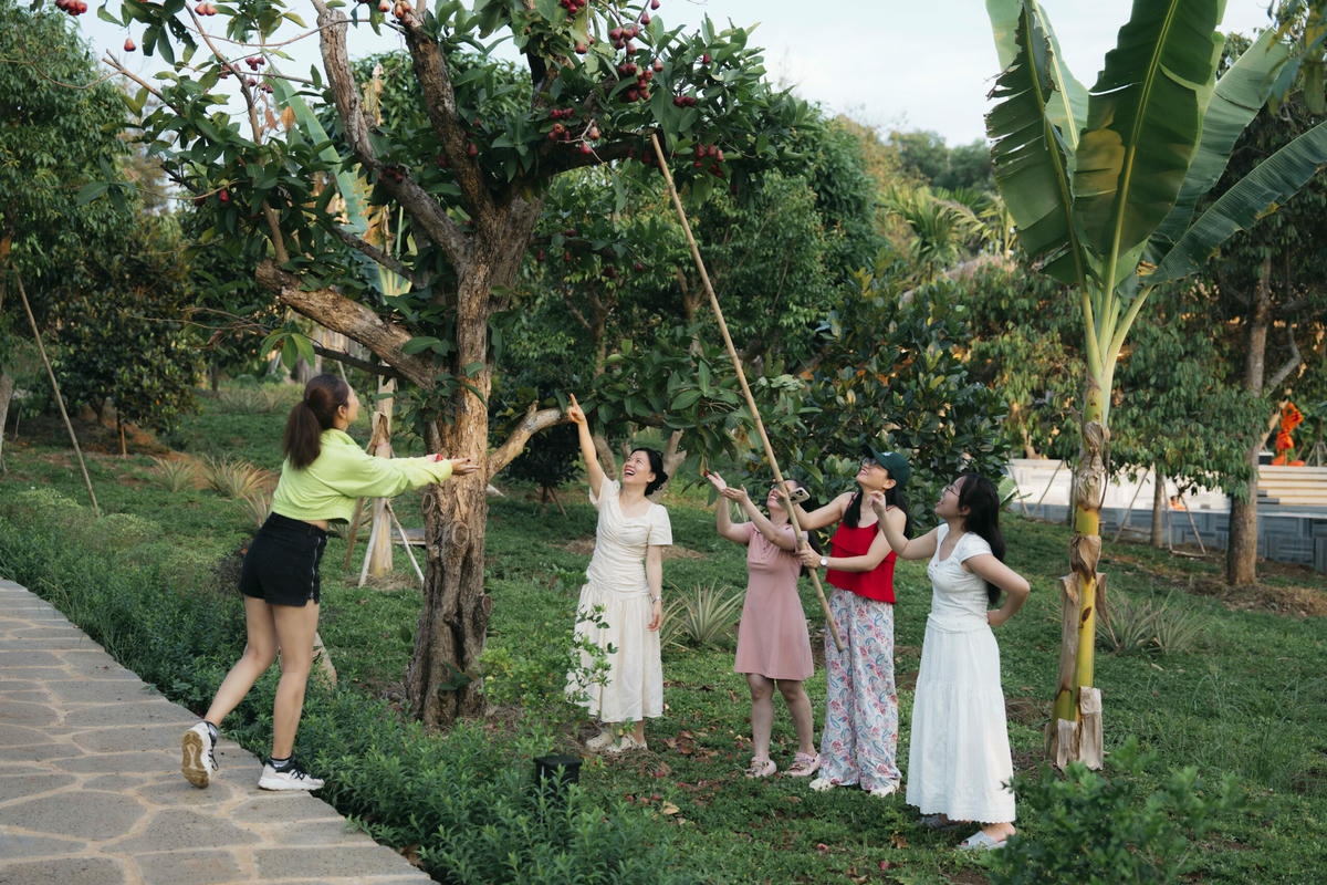 vườn cây ăn trái tại Sendoro Retreat Châu Đức