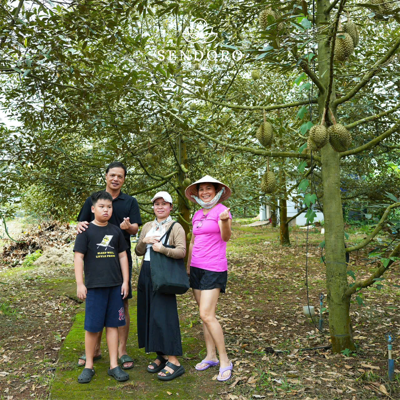 vườn cây ăn trái Sendoro Retreat Châu Đức