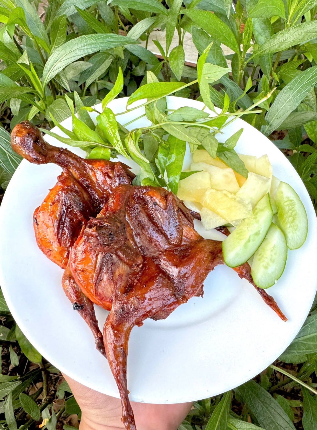 Cút nướng