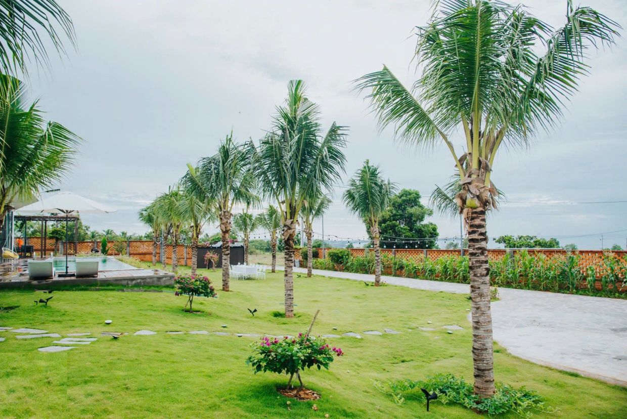 Villa Odwin Sun 01 – Khu vực sân vườn