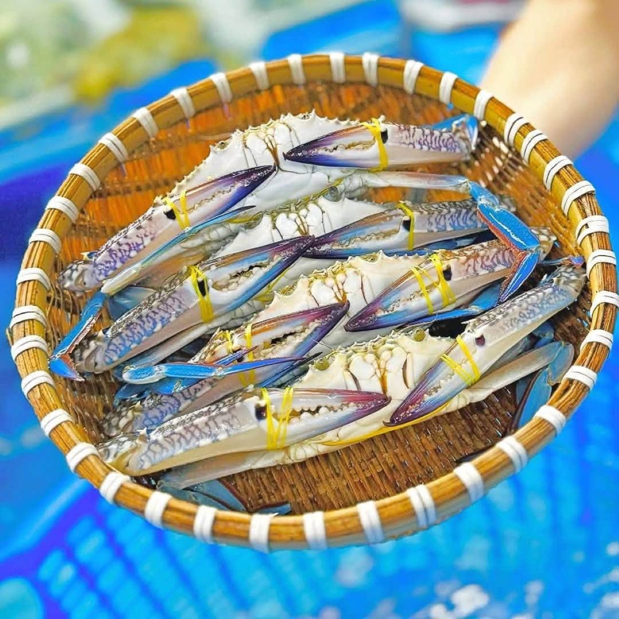 Chợ hải sản Vũng Tàu